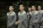少年犯电影在线观看,青春迷途，救赎之路