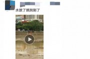 爆料死亡新闻最新视频大全,惊悚瞬间！最新死亡新闻视频大盘点