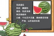 吃瓜致富小说免费阅读,从吃瓜到致富的奇幻之旅