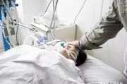 脑死亡电视剧在线观看,揭秘脑死亡背后的真实故事